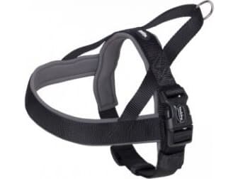 Nobby Szelki dla psa Classic preno svart r. XL (75-98cm)