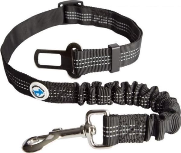 All For Dogs ALL FOR DOGS SAFETY BELT