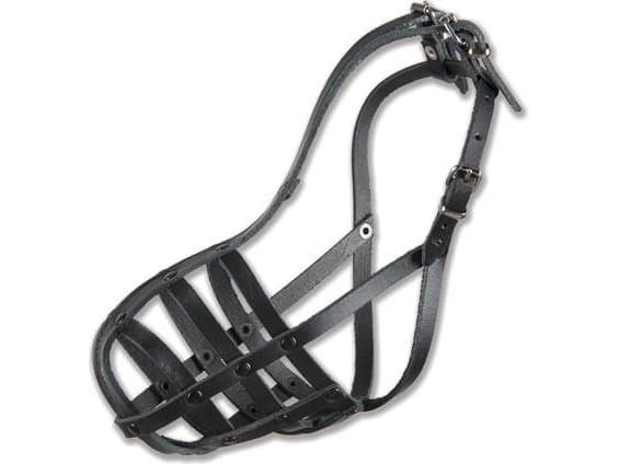 Dino Riveted skinnmunnstykke - 9 Spaniel Large