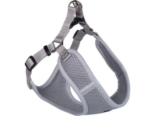 Nobby 80624-81, Hund, Grimesele, XS, Grå, Monokromatisk, 33 cm