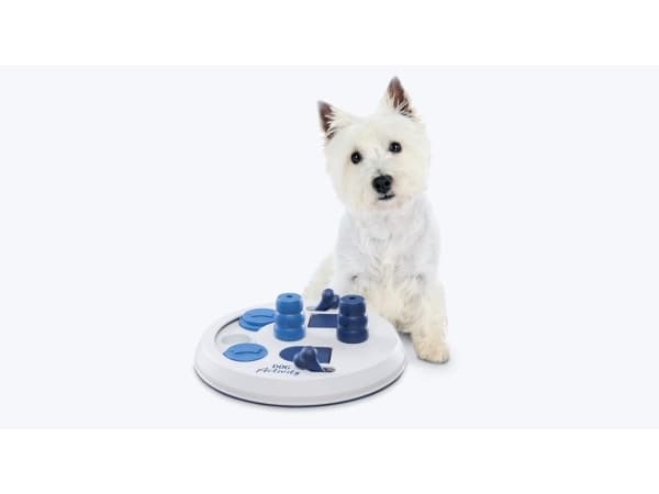 Trixie DOG TOY Dog Activity "Flip Board", 23 × 3 cm, assorted