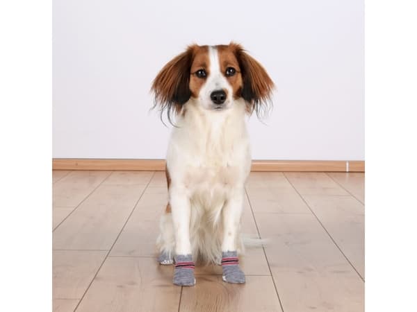 Trixie Hundesokker, grå XS-S (2 stk.) non-slip