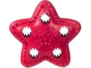 Barry King Star for delicacies red 12.5 cm