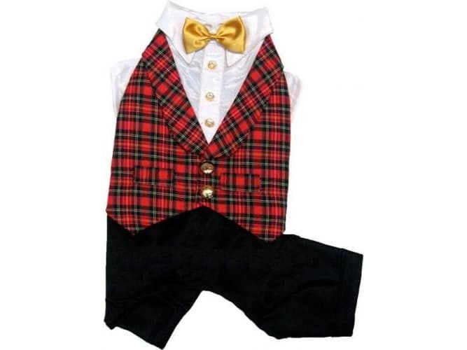 DoggyDolly A set of trousers with a shirt in red and navy blue stars. L