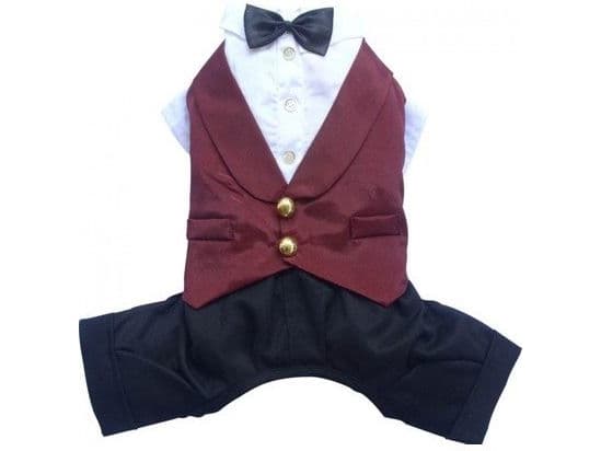 DoggyDolly Set of pants and vest with a bow tie, black and red. L