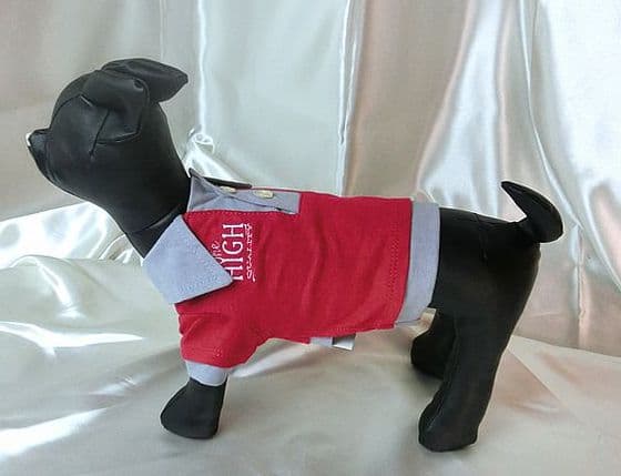 DoggyDolly Poloskjorte, oransje, S 23-25cm/36-38cm