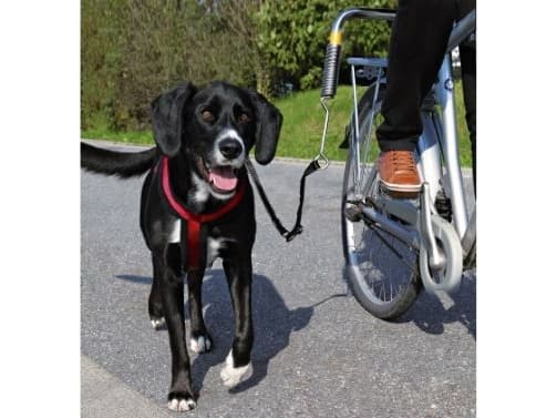Trixie Biker-sæt de Luxe afstandshold