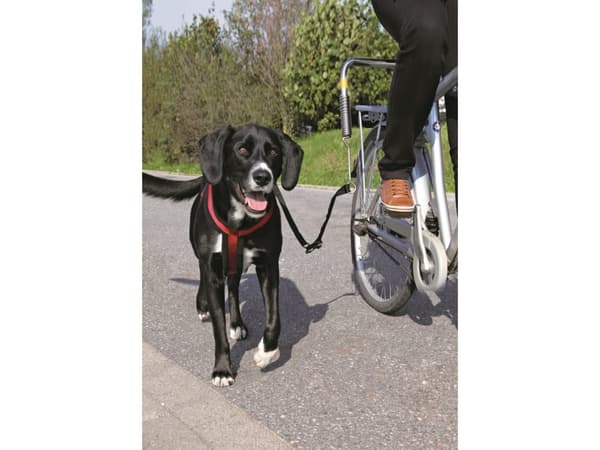 Trixie Biker-sæt de Luxe afstandshold