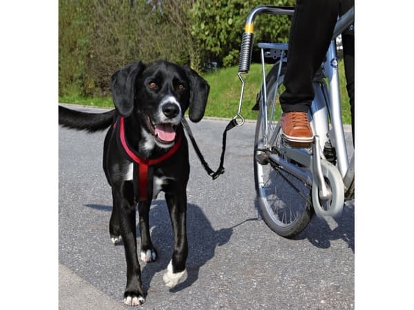 Trixie Biker-sæt de Luxe afstandshold