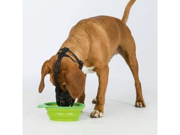 Trixie Muzzle Flex Muzzle, silikon, L-XL, svart