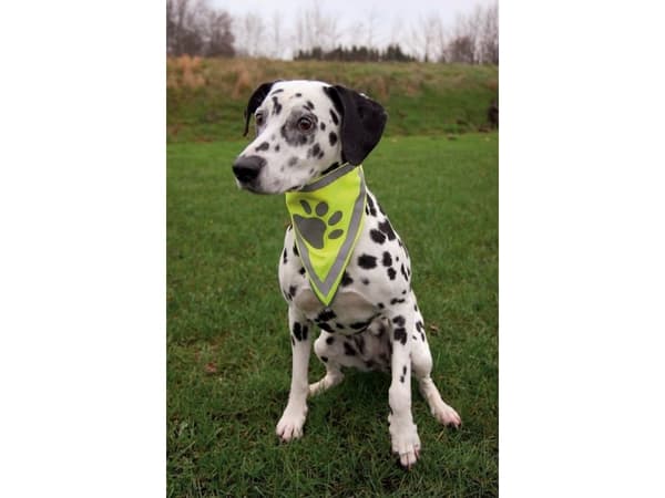 Trixie Bandana, reflekterande, 62 x 33