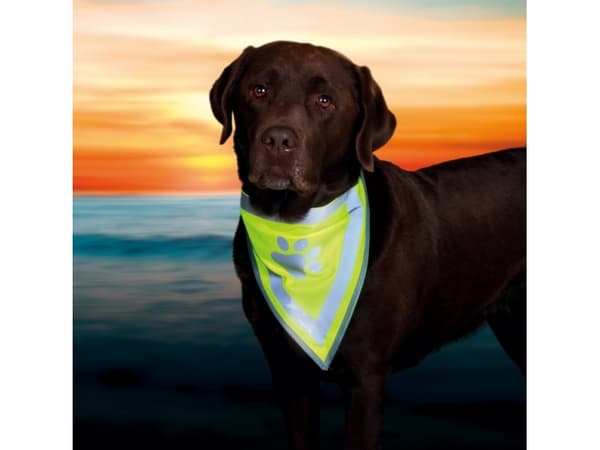 Trixie Bandana, reflekterande, 62 x 33