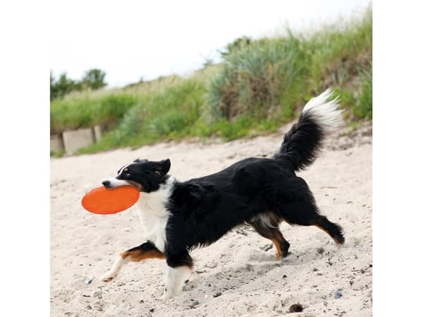Trixie Dog Disc, thermoplastik gummi (TPR), ø 22 cm, ass. farver