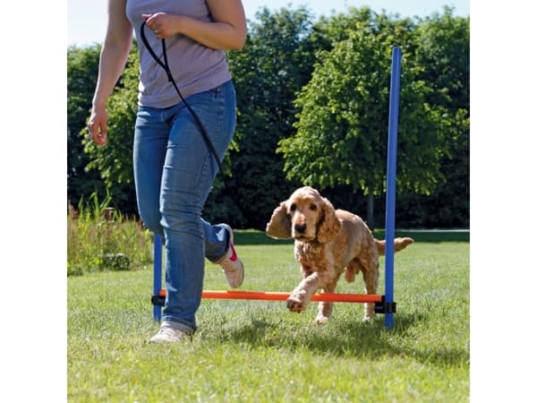 Trixie Agility spring 115 x ø 3,3 cm
