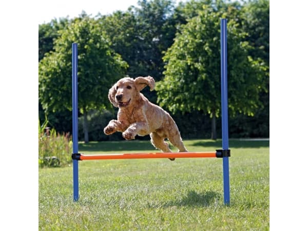 Trixie Agility spring 115 x ø 3,3 cm