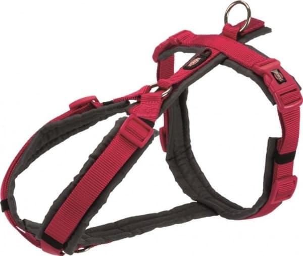 Trixie Trekking Harness Premium, XL: 80–97 cm/25 mm, fuchsia/graphite