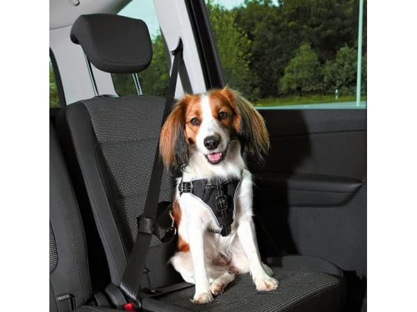 Trixie Dog Protect sikkerhedssele, L: 65–80 cm/25 mm, sort
