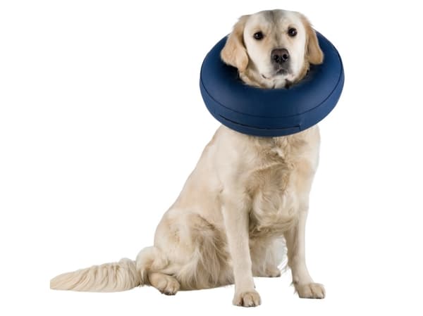 Trixie Beskyttelseskrave, oppustelig, M–L: 45-57 cm/11 cm, blå