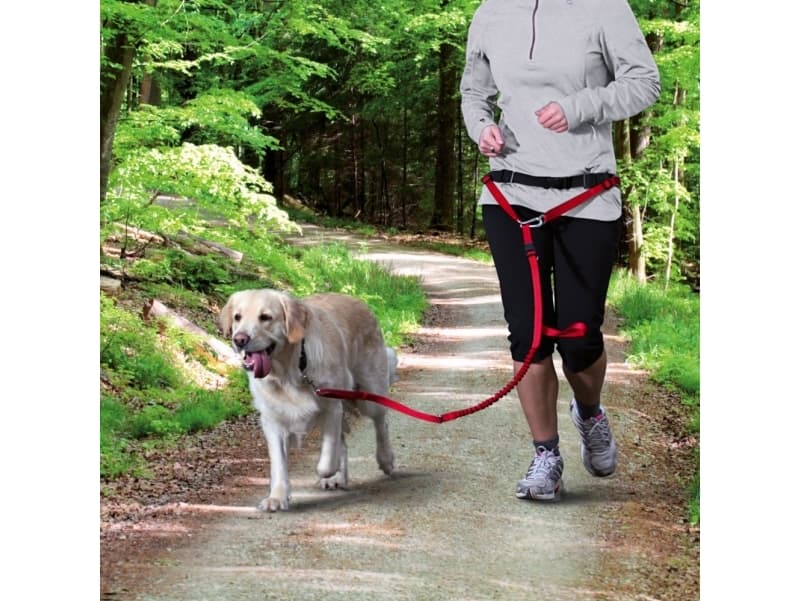 Trixie Waist belt with leash for medium and large dogs - Red