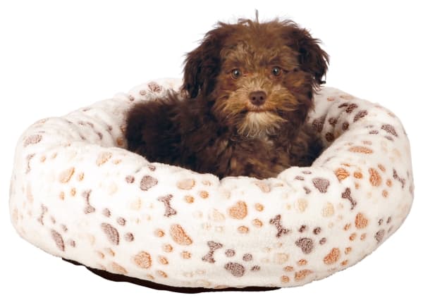 Trixie Lingo bed, 60 × 55 cm, hvid/beige