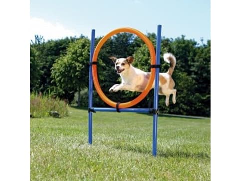 Trixie Agility ring, ø 65 cm