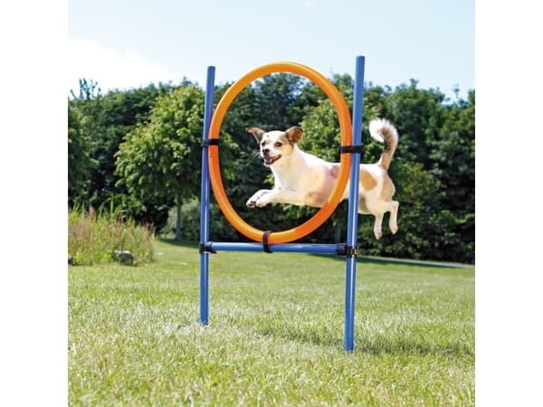 Trixie Agility ring, ø 65 cm