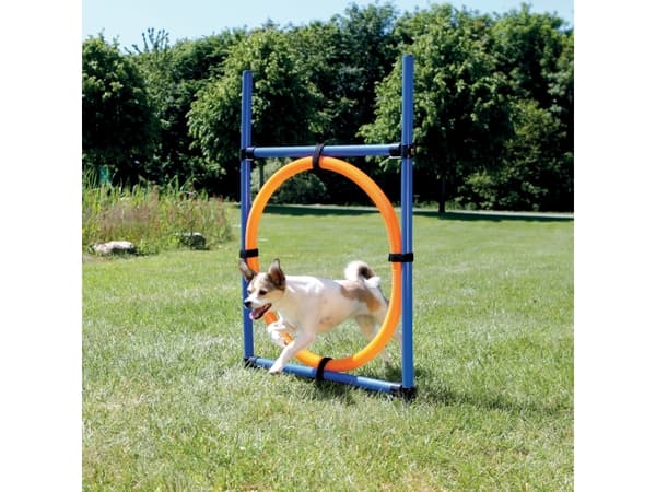 Trixie Agility ring, ø 65 cm