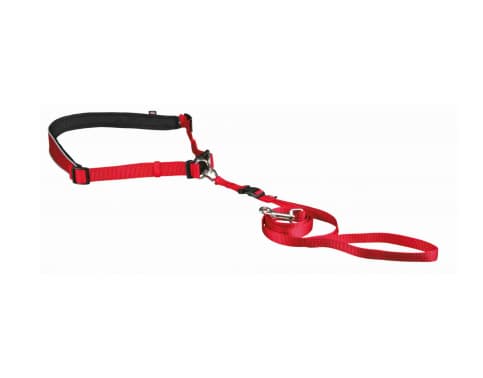 Trixie Leash belt for small and medium-sized dogs - Red