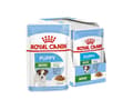 Miniatyrbild 2 av 4: Royal Canin Mini Puppy, Valp, 12x85 g
