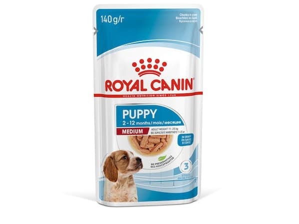 ROYAL CANIN SHN Medium Puppy in sauce - märkäruoka pennuille - 10x140g