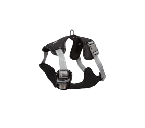 Paw Love - Y-sele hund - str 52 (Small) - Sort