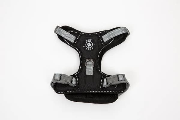 Paw Love - Y-sele hund - str 52 (Small) - Sort
