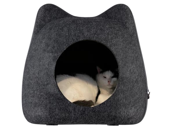 Paw Love Katt hule Ludvig