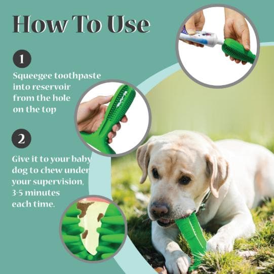 Doggystick - the smart toothbrush for dogs