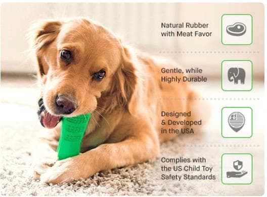 Doggystick - the smart toothbrush for dogs