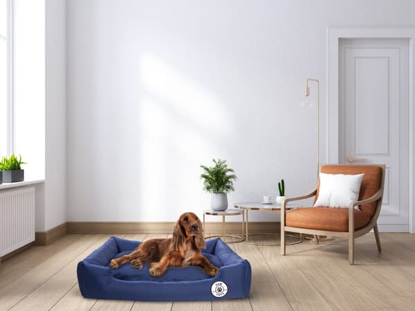 Paw Love - Koiran sänky - Neliö - Large- 80x60cm - Tummansininen