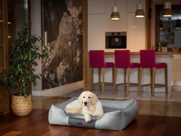 Hobbydog L COMFORT harmaa