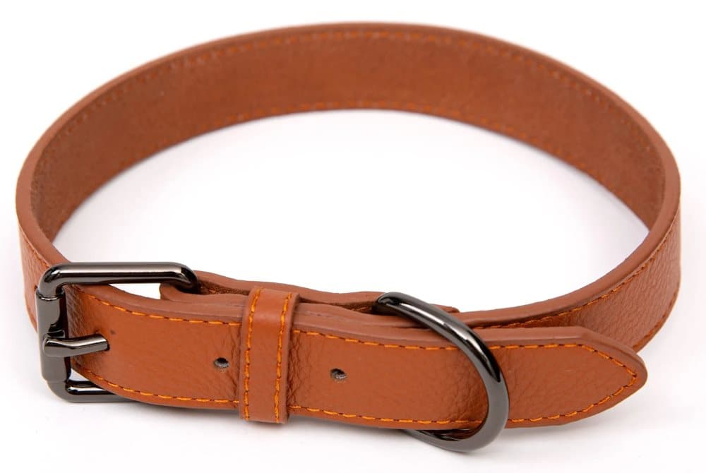 Paw Love - Hundhalsband i läder (Large) - Cognac