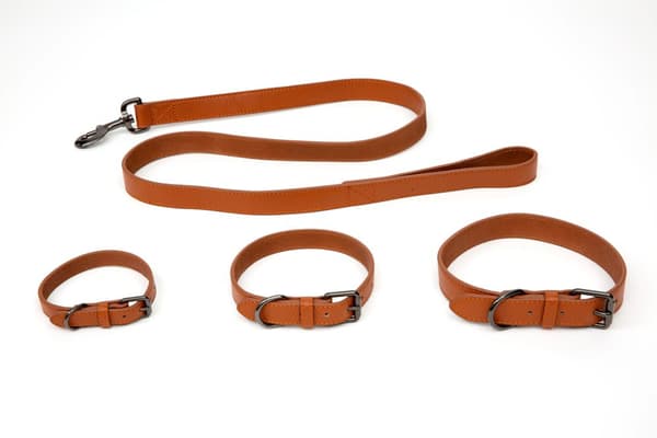 Paw Love - Halsbånd læder hund (Medium) - Cognac