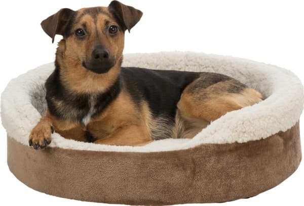 Trixie Koiran sänky Cosma, 70 × 55 cm, tummanruskea/beige