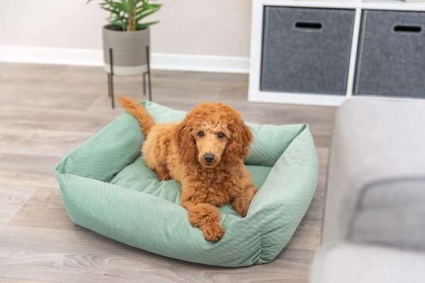 Trixie Alena bed, square, 60 × 50 cm, sage