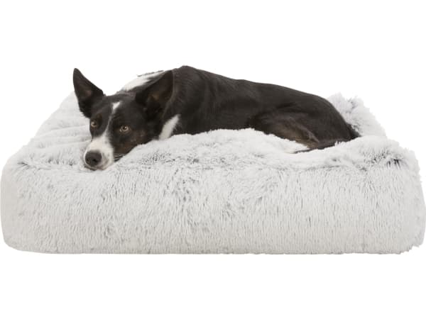 Trixie Harvey pude 80x60 cm, Hvid/Sort