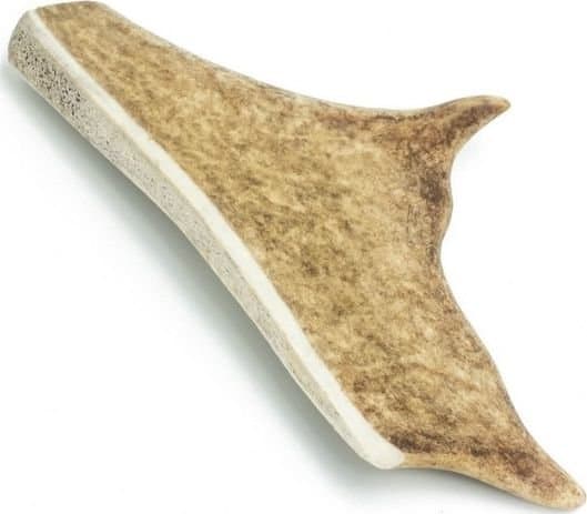 4DOGS DANIEL_M, Koira, Herkkulelu, Beige, Ruskea, Pureskelu, Puola, 13 cm