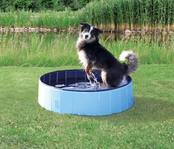 Trixie Hunde Pool, ø 80 x 20 cm, lys blå/blå