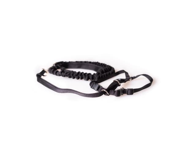 Cat harness & leash Large