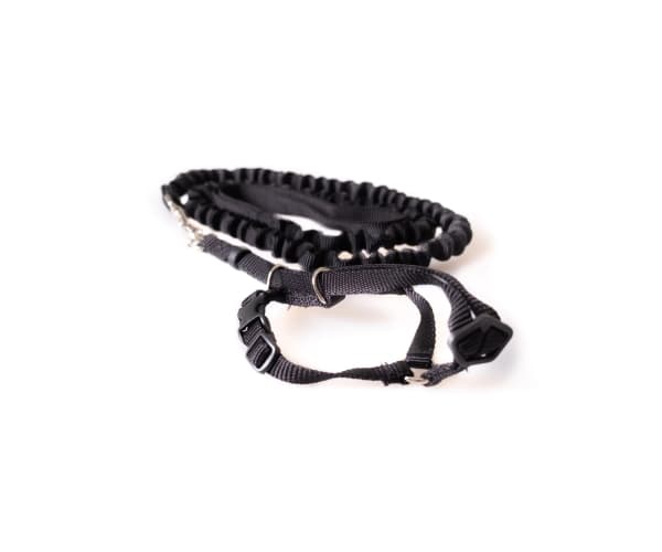 Cat harness & leash Small