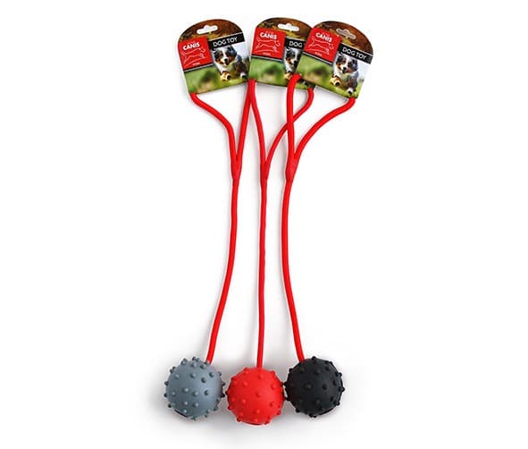 Active Canis Ball with rope, assorted colors