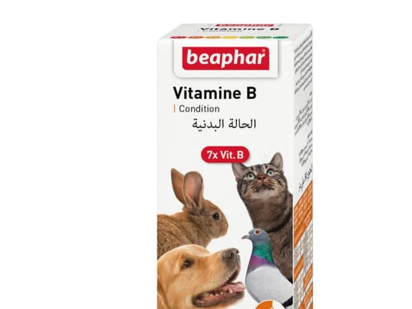 Beaphar vitamin B-kit för husdjur - 50 ml