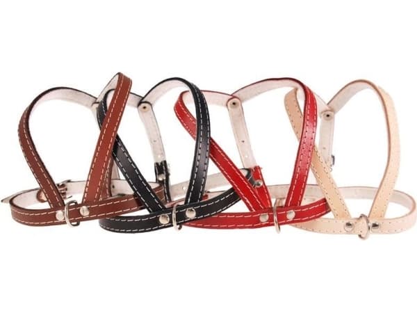 Dino Dog Leather Harness 70cm Red - 5906040058658