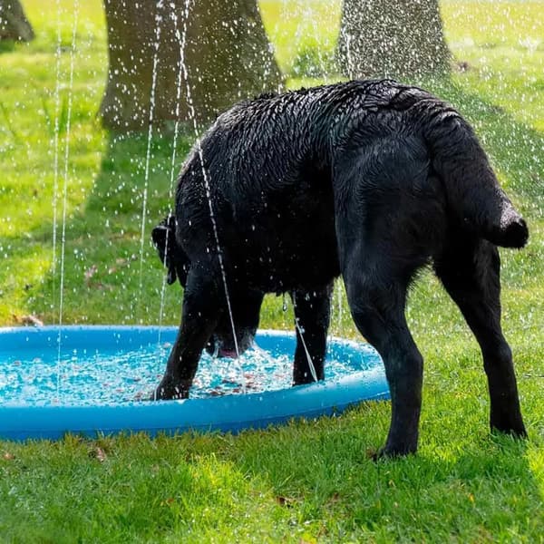 Pet pad splash sprinkler, Fontaine måtte 150cm vannlek, hund